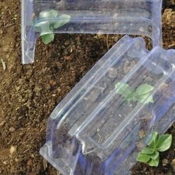 Mini Greenhouse Cloche -Flower Plants Shop CLOC V69804 D