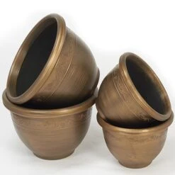 Flower Plants Shop -Flower Plants Shop D6146 B1A57FE5 E226 E6E3 9038EED97D7B03261