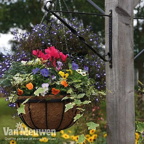 Garden Grow Hanging Basket & Liner 4 Garden Grow Hanging Basket & Liner - Image 2