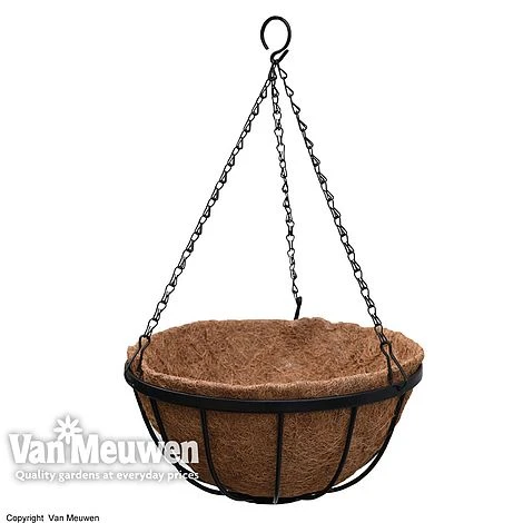 Garden Grow Hanging Basket & Liner 5 Garden Grow Hanging Basket & Liner - Image 3
