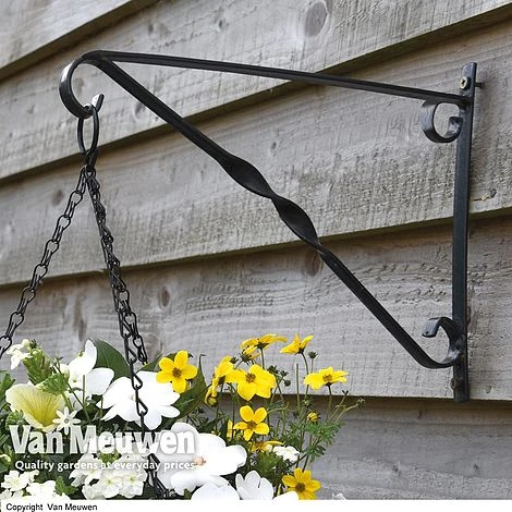 Garden Grow Hanging Basket & Liner 6 Garden Grow Hanging Basket & Liner - Image 4