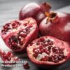 Pomegranate 'Provence' -Flower Plants Shop POMPROV 14152 A