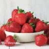 Strawberry 'Cambridge Favourite' (Mid Season) -Flower Plants Shop STRA V73919P B