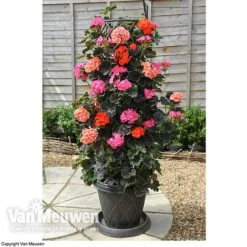 Tower Pot™ Black & Gold -Flower Plants Shop TOWE V48803P C