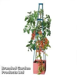 Garden Grow Self Watering 4 Tier Tomato Tower -Flower Plants Shop TOWE TOMSELFWA T045925
