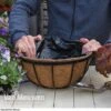 Garden Grow Hanging Basket & Liner -Flower Plants Shop hang bask liner