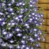 Lobelia 'Waterfall Ice Blue' 2 Lobelia 'Waterfall Ice Blue' -Flower Plants Shop lob waterfall 3