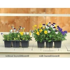 Incredibloom® Fertiliser -Flower Plants Shop z INCR T47963 C h