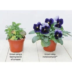 Incredicompost® -Flower Plants Shop z INCR T56335 C h