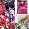 Petunia 'Orchid-Flowered Mixed' F1 Hybrid Success Kit -Flower Plants Shop z PETU